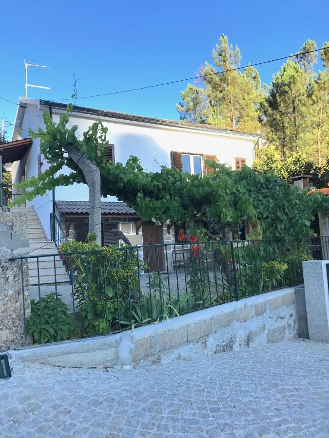 Апартаменты Casa Da Ponte Velha Термаш-де-Сан-Педру-ду-Сул Номер фото